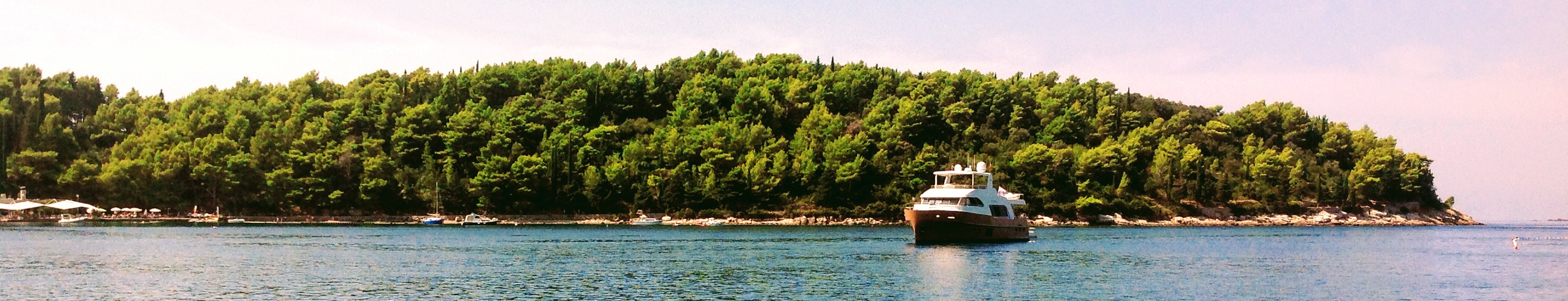 Olive in bay