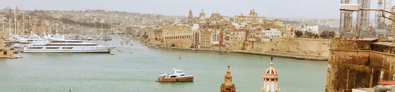 Olive in Malta