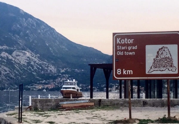 Olive Kotor