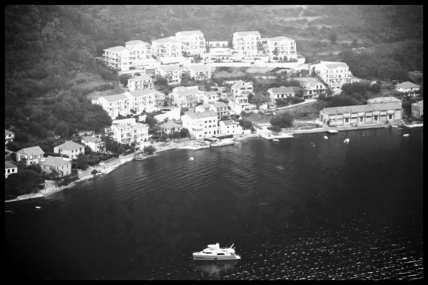 Olive in Kotor